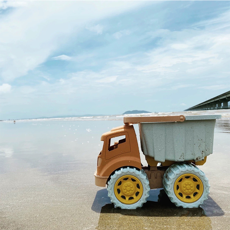 1 pièces jouet de plage voitur - Dump Truck Toy avis et prix